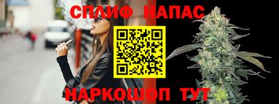 гашик Нальчик