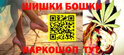 гашик Нальчик
