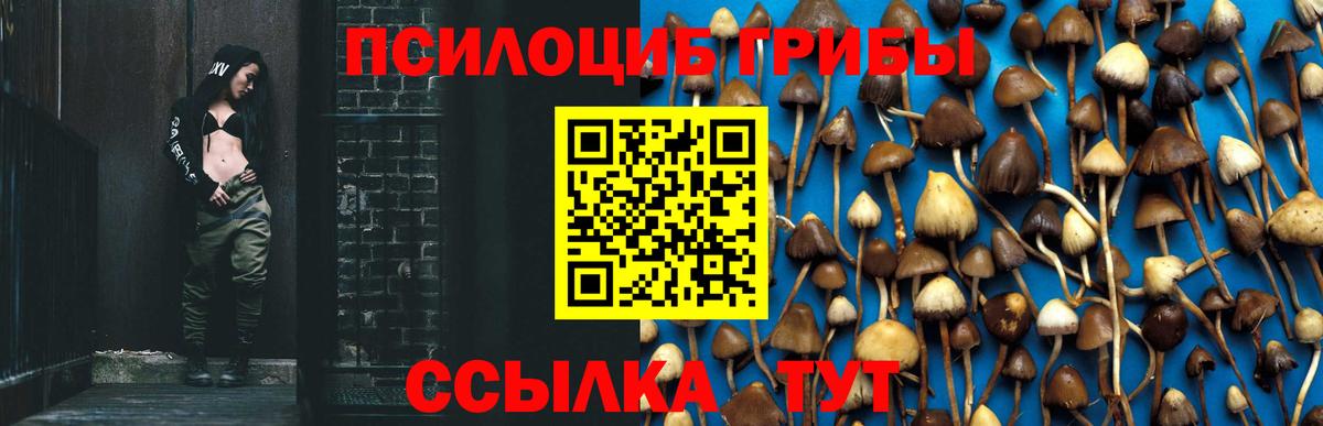 Псилоцибиновые грибы MAGIC MUSHROOMS  Псилоцибиновые грибы Magic Shrooms  Вход с VPN  как найти наркотики  Петрозаводск 